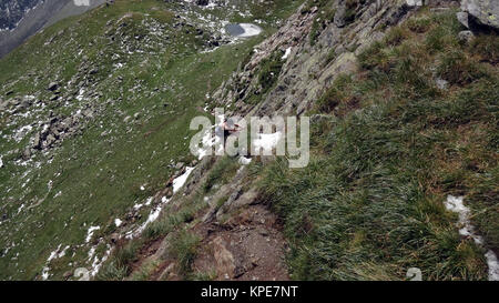 Berg Wandern, Südtirol Stockfoto