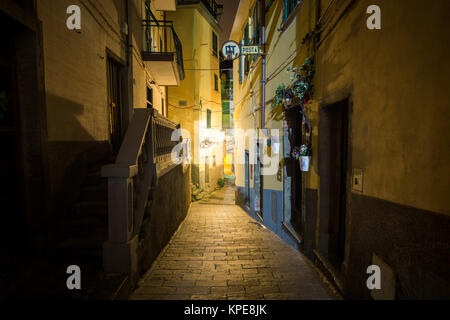 Riomaggiore-Gasse in der Nacht Stockfoto