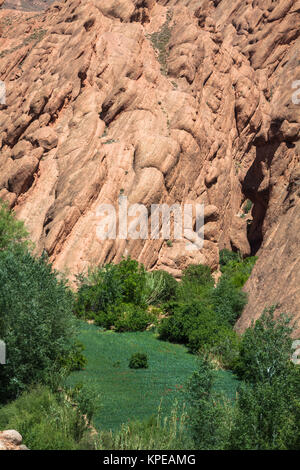 Red Rock Kalkstein Finger in Dades-schlucht, Marokko, Afrika Stockfoto