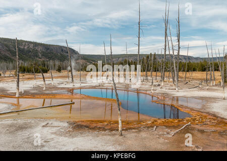 Opaleszierende Pool im Yellowstone National Park, Wyoming. Stockfoto