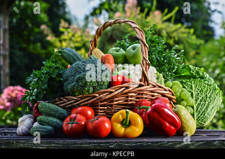 Weidenkorb mit sortierten rohes Gemüse aus ökologischem Anbau im Garten Stockfoto