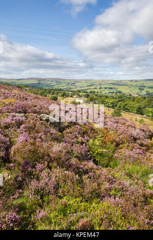 Norland, Halifax, West Yorkshire, Großbritannien, 5. September 2015. Stockfoto