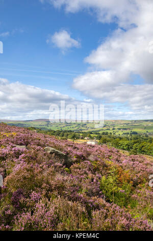 Norland, Halifax, West Yorkshire, Großbritannien, 5. September 2015. Stockfoto