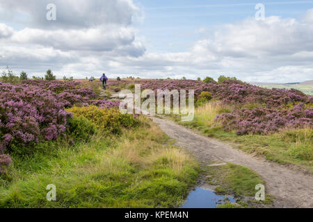 Norland, Halifax, West Yorkshire, Großbritannien, 5. September 2015. Stockfoto