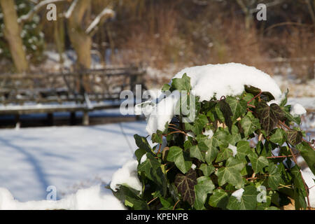 Winter im Berliner Volkspark Friedrichshain Stockfoto