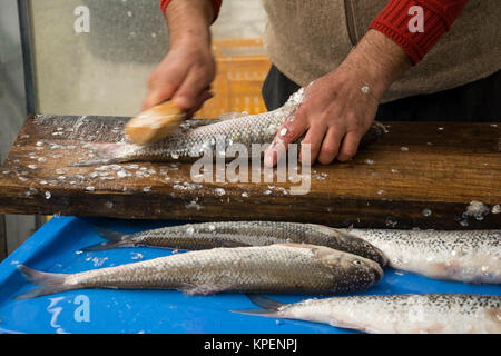 Ein Fischer Entfernen der Fischschuppen Stockfoto