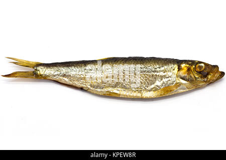 Geräucherter Europäische Sprotte (Sprattus sprattus) Stockfoto