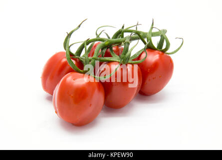 Bündel Picadilly Tomate Stockfoto