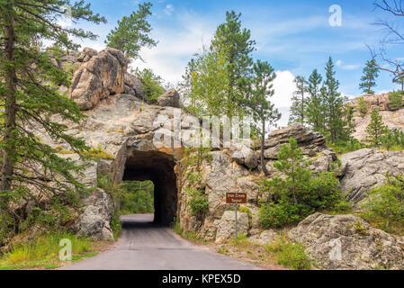 Bügeleisen Creek Tunnel Stockfoto