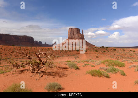 Wüstenschlösser - riesige Sandstein Buttes, aussehen wie Burgen des Mittelalters, stehend auf Wüstenboden des Monument Valley. Stockfoto