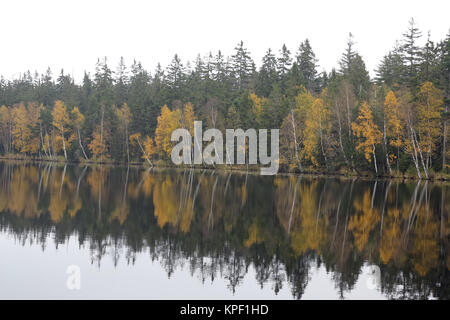 Bäume am Ufer des Sees im Herbst Stockfoto