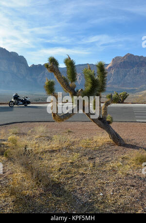 Red Rock Park, Nevada Landschaft mit Wüste, Straße, Motorrad und Berge Stockfoto