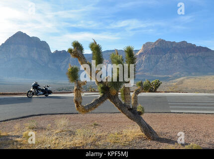 Red Rock Park, Nevada Landschaft mit Wüste, Straße, Motorrad und Berge Stockfoto