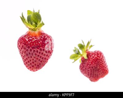 Frische ganze individuelle Erdbeeren Stockfoto