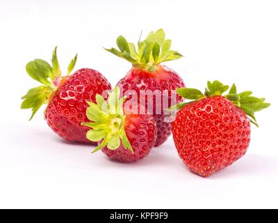 Frische ganze individuelle Erdbeeren Stockfoto