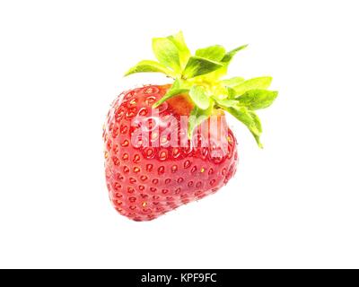 Frische ganze individuelle Erdbeeren Stockfoto