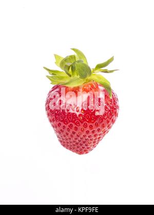 Frische ganze individuelle Erdbeeren Stockfoto