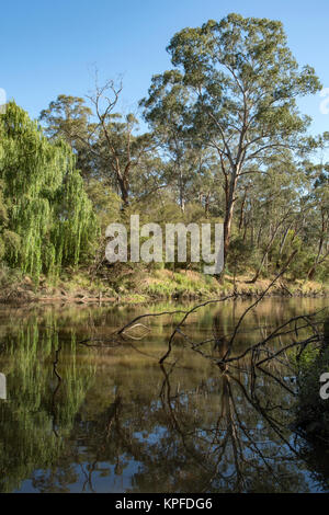 Yarra River im Jumping Creek finden,Warrandyte, Victoria, Australien Stockfoto