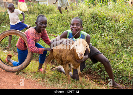 Lugazi, Uganda. 15. Juni 2017. Lachend ugandische Kinder mit einem Schaf. Stockfoto