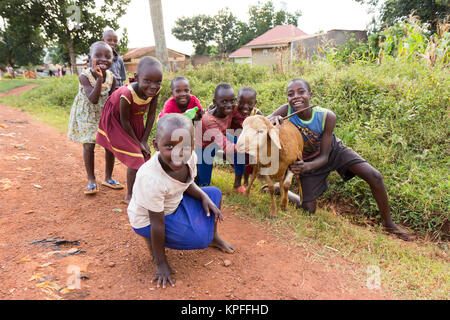 Lugazi, Uganda. 15. Juni 2017. Lachend ugandische Kinder mit einem Schaf. Stockfoto