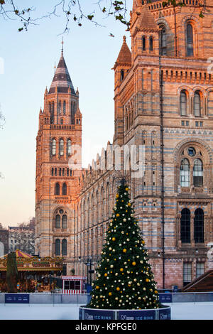 LONDON, GROSSBRITANNIEN, 12. Dezember 2017: Ice Ring mit Weihnachtsbaum ist outsie Natural History Museum im Winter erstellt. Stockfoto