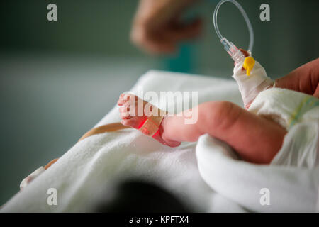 Vorzeitige kleines Baby in einem Inkubator im neonatalen Bereich der Mutterschaft Stockfoto