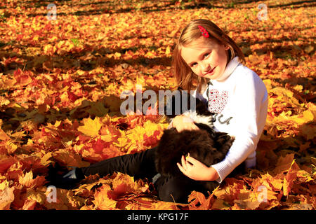 Kleines Mädchen spielt mit ihrer Katze im Herbst Park Stockfoto