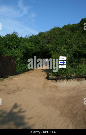 Mosambik, Person zu Fuß auf einem sandigen Pfad durch dichtes Tunnel von grüner Vegetation in einem Ferienort in Ponta Do Ouro Stockfoto