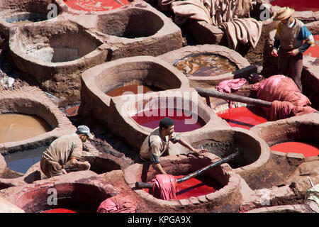 Leder färben Bottiche, Fes Medina, Marokko Stockfoto