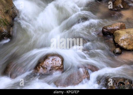 Wasser fließt, um die Felsen in Roaring Fork Creek entlang der Roaring Fork Motor Tour in der Great Smoky Mountains National Park Tennessee USA Stockfoto