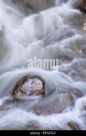 Wasser fließt, um die Felsen in Roaring Fork Creek entlang der Roaring Fork Motor Tour in der Great Smoky Mountains National Park Tennessee USA Stockfoto