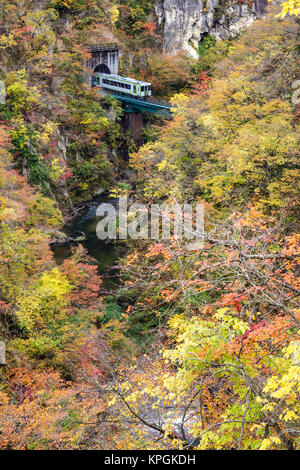 Naruko Schlucht Herbst Laub im Herbst Saison, Japan Stockfoto