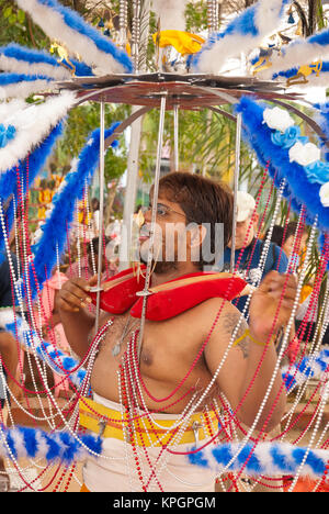 Singapur - Januar 30: Hindu devotee eine schwere an Thaipusam kavadi am 30 Januar, 2010 in Singapur. Stockfoto