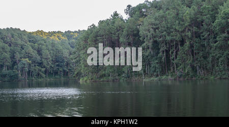 Wunderschöne Aussicht auf Pine Tree Reflexion in einem See bei Pang Oung Nationalpark in Mae Hong Son, Thailand Stockfoto