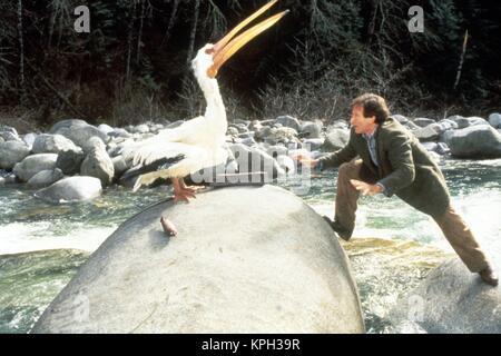 Jumanji Jahr : 1995 USA Regie : Joe Johnston Robin Williams Stockfoto