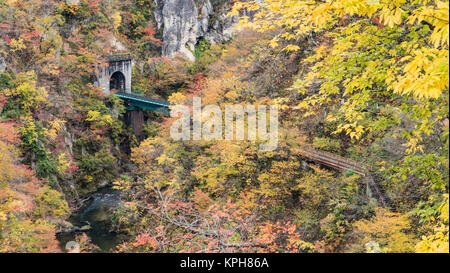 Die Naruko Schlucht Blätter im Herbst in die Herbstsaison, Japan Stockfoto