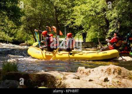 White Water Dachsparren schießen die Stromschnellen auf nationaler White Water Centre auf dem Fluss Tryweryn im Snowdonia National Park Stockfoto