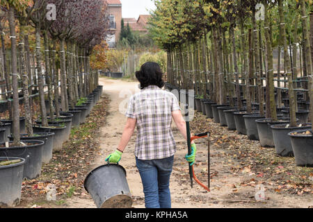 Frau arbeitet im Garten Center, Stockfoto