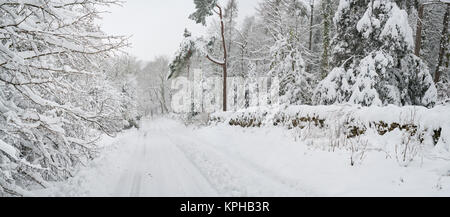 Schneebedeckte Landstraße in der Nähe von Snowshill Dorf im Dezember. Snowshill, Cotswolds, Gloucestershire, England Stockfoto