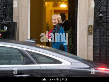 Andrea Leadsom, Führer des Unterhauses und Herr Präsident des Rates, kommt an 10 Downing Street Stockfoto