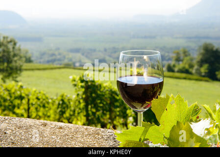 Glas Rotwein ausgesetzt der Sonne entgegen Stockfoto