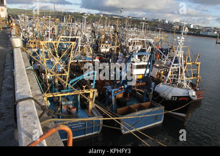 Trawler Fischerboote im Hafen Schälen, Isle of Man, Großbritannien. Die Fischerei auf Kammmuscheln (queenies). Strenge Quoten bedeuten die Boote zum Hafen zurück. Stockfoto