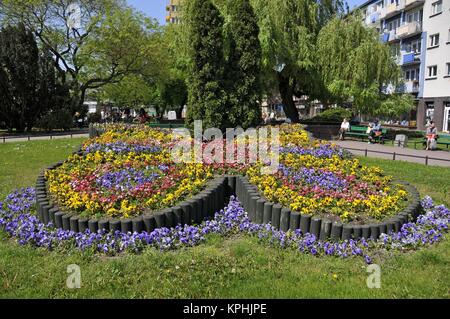 Gorzow Wielkopolski, Stadt in der Woiwodschaft Lebus, Polen. Stockfoto