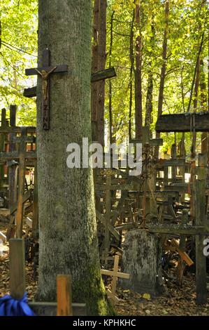 Die Klosterkirche, Heiligen Mountainf der Grabarka weiß auch als den "Berg der Kreuze", der wichtigste Standort der orthodoxen Gottesdienst in Polen. Stockfoto