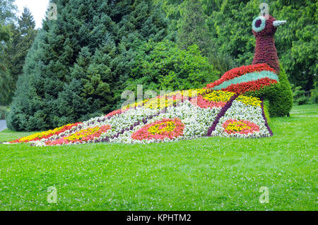 Blumenbeet in Form von Zahlen Pfau Stockfoto