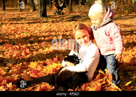 Schwestern spielen mit der Katze im Herbst Park Stockfoto