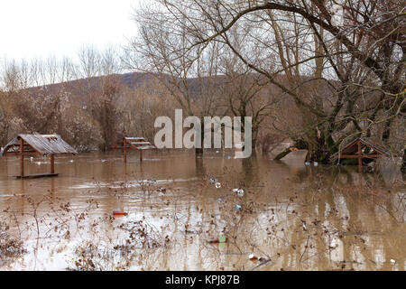 Der Fluss nach dem Unwetter kam aus der Banken. Überschwemmung Ufer, Bäume nach Hochwasser Stockfoto