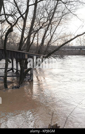 Der Fluss nach dem Unwetter kam aus der Banken. Überschwemmung Ufer, Bäume nach Hochwasser Stockfoto