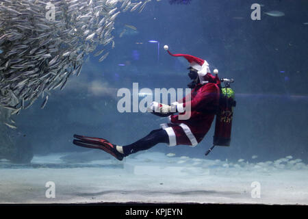 Seoul, Südkorea. 16 Dez, 2017. Santa Kostüm Taucher mit Sardinen und meerjungfrau kostüm Taucher unter Wasser während eines Unter Wasser Santa Show im Aquarium in Seoul, Südkorea. Credit: Ryu Seung Il/ZUMA Draht/Alamy leben Nachrichten Stockfoto