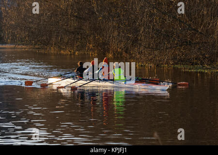 Ruderer auf dem Fluss Lea am frühen Morgen, London, England, Vereinigtes Königreich, Großbritannien Stockfoto